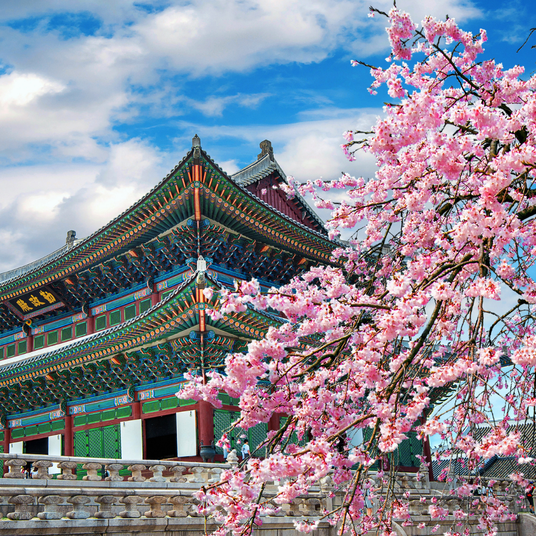 9 Days Historical Journey Through South Korea
